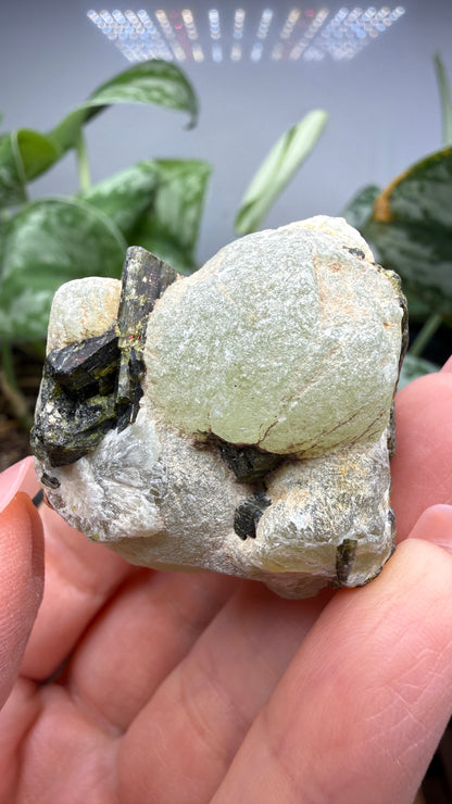 Botryoidal Prehnite with Epidote- Bosso Mine, Bendoukou, Kayes Region, Mali