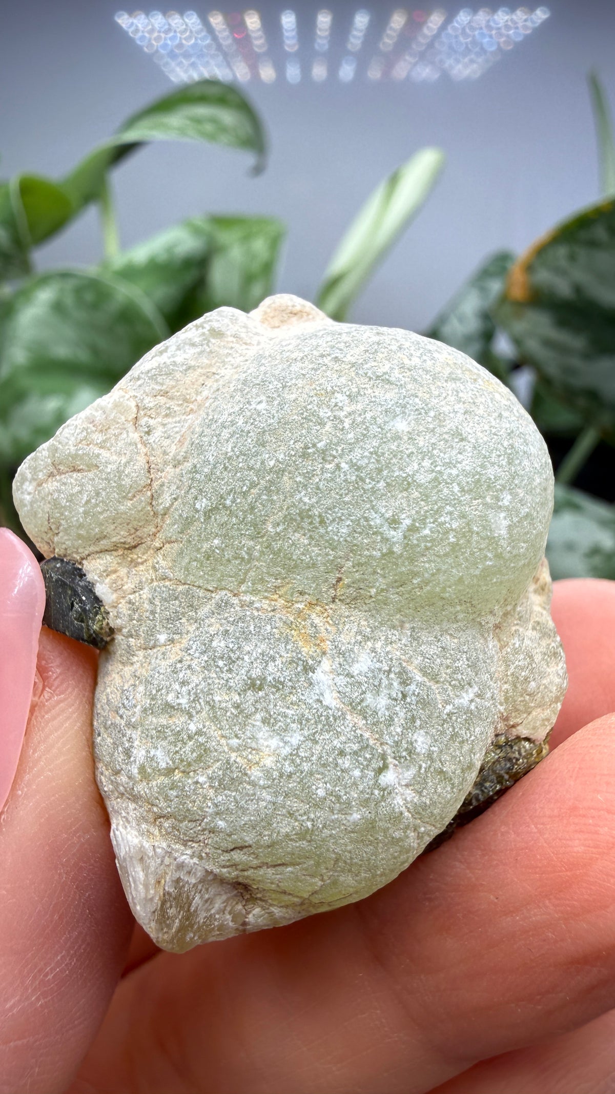 Botryoidal Prehnite with Epidote- Bosso Mine, Bendoukou, Kayes Region, Mali