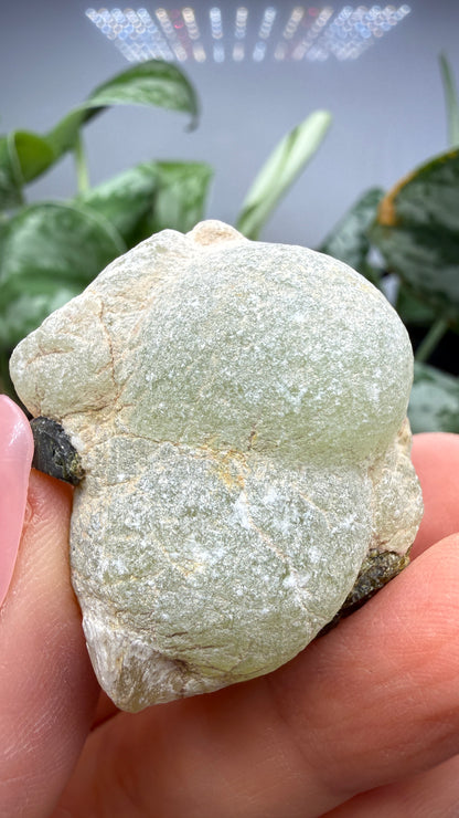 Botryoidal Prehnite with Epidote- Bosso Mine, Bendoukou, Kayes Region, Mali