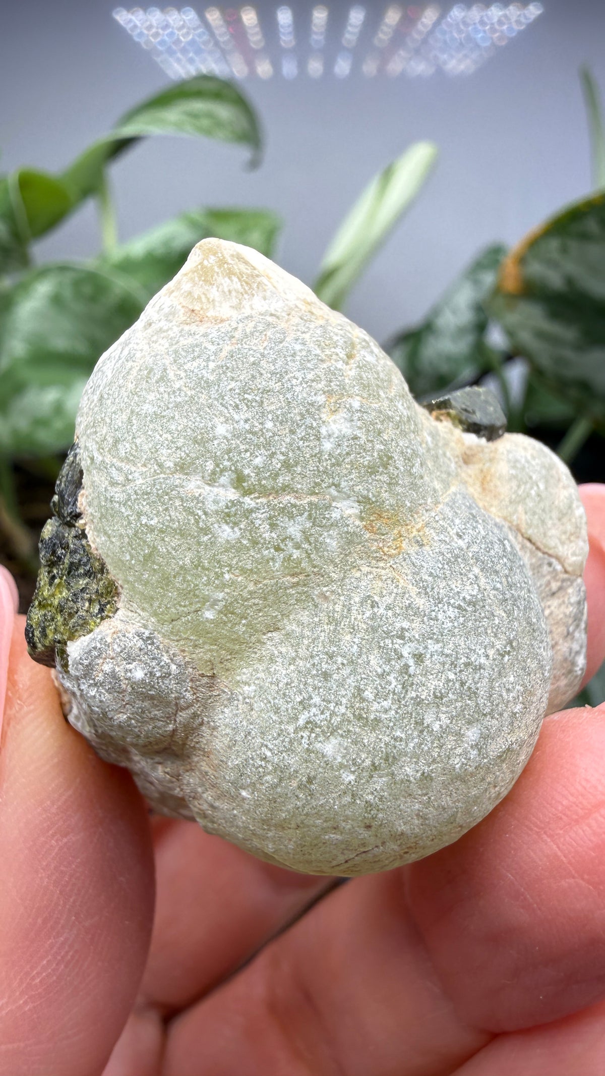 Botryoidal Prehnite with Epidote- Bosso Mine, Bendoukou, Kayes Region, Mali