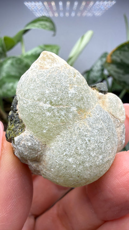 Botryoidal Prehnite with Epidote- Bosso Mine, Bendoukou, Kayes Region, Mali