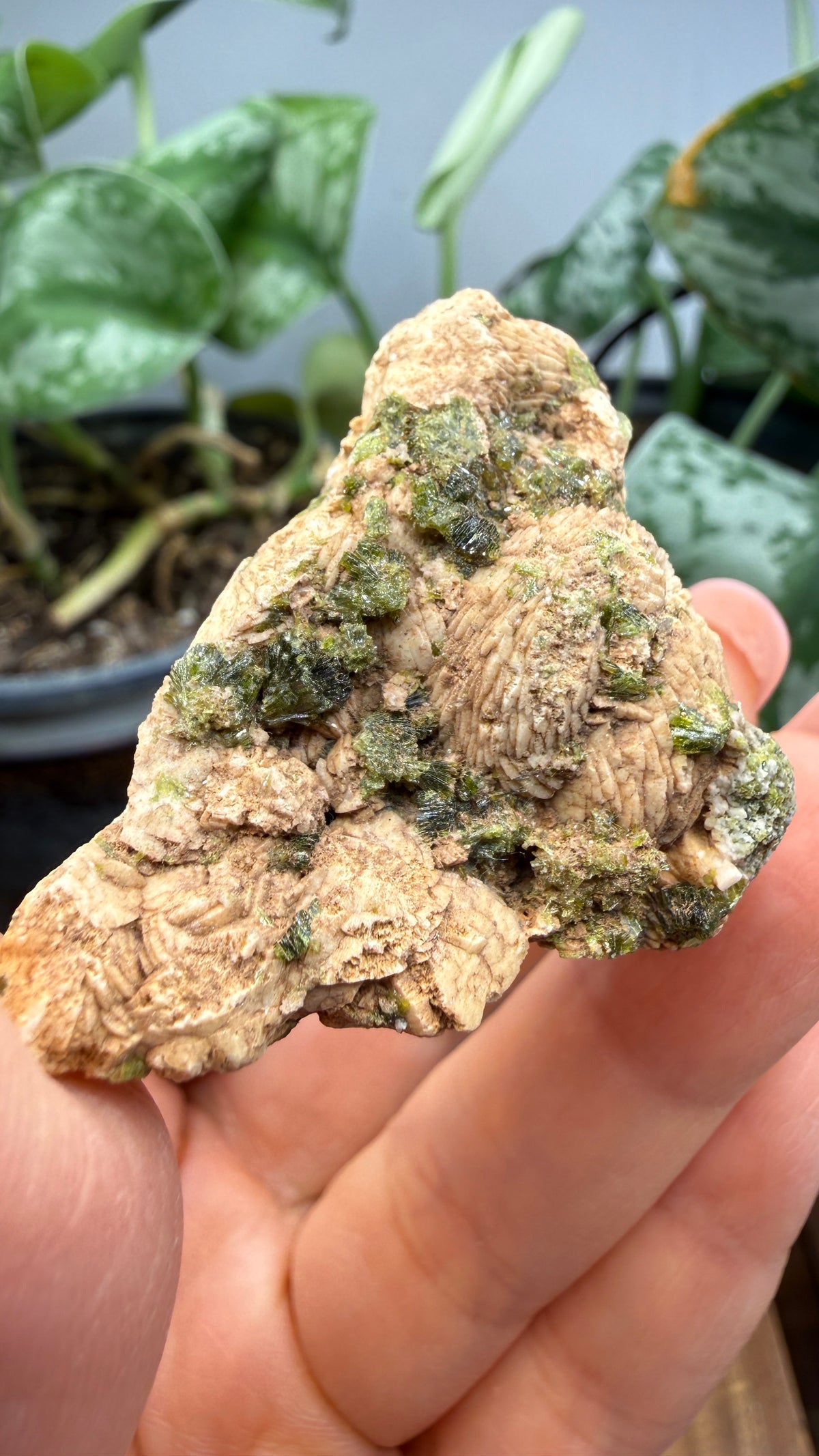 Prehnite with Epidote- Imilchil, Midelt Province, Drâa-Tafilalet Region, Morocco