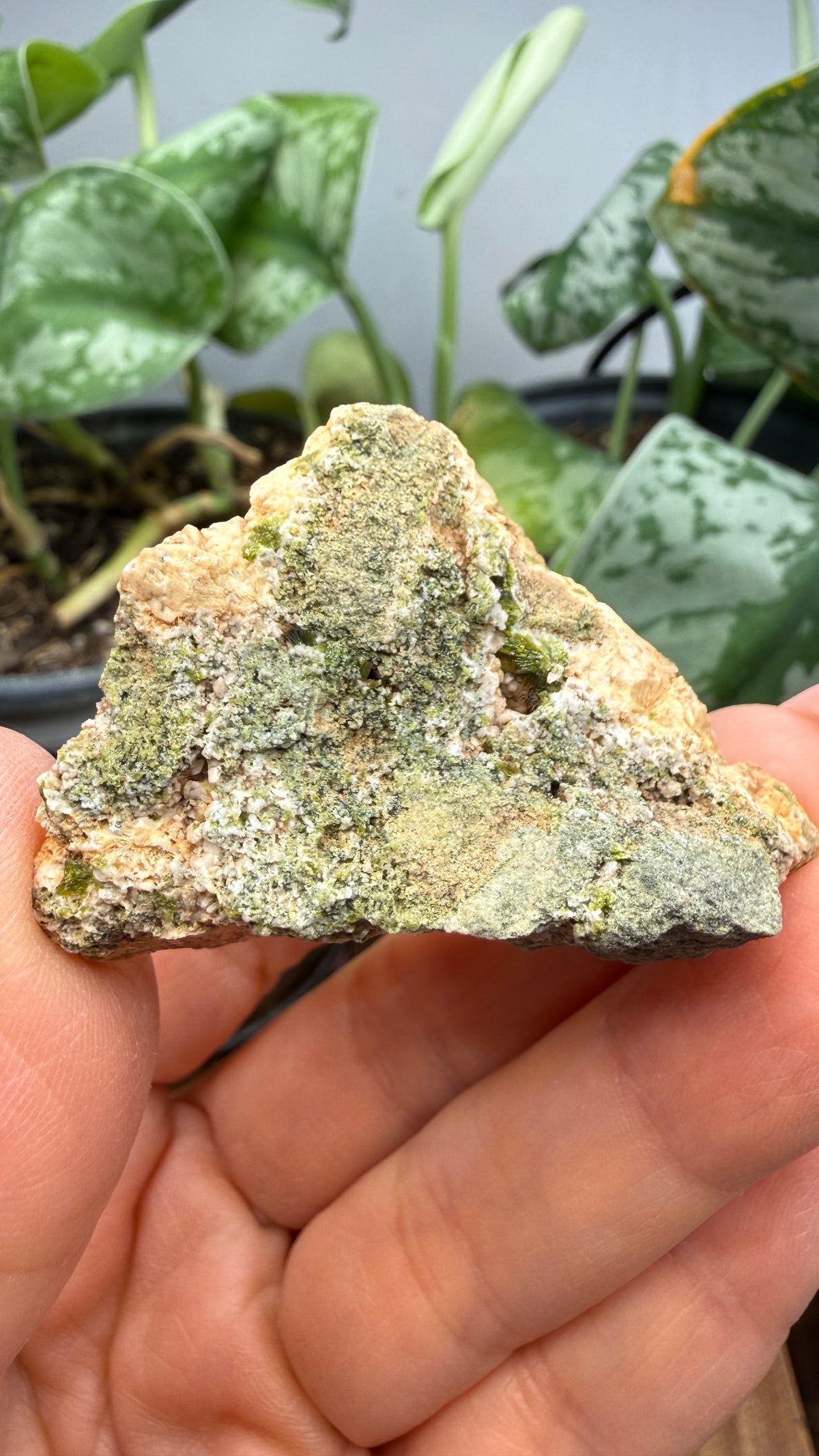 Prehnite with Epidote- Imilchil, Midelt Province, Drâa-Tafilalet Region, Morocco