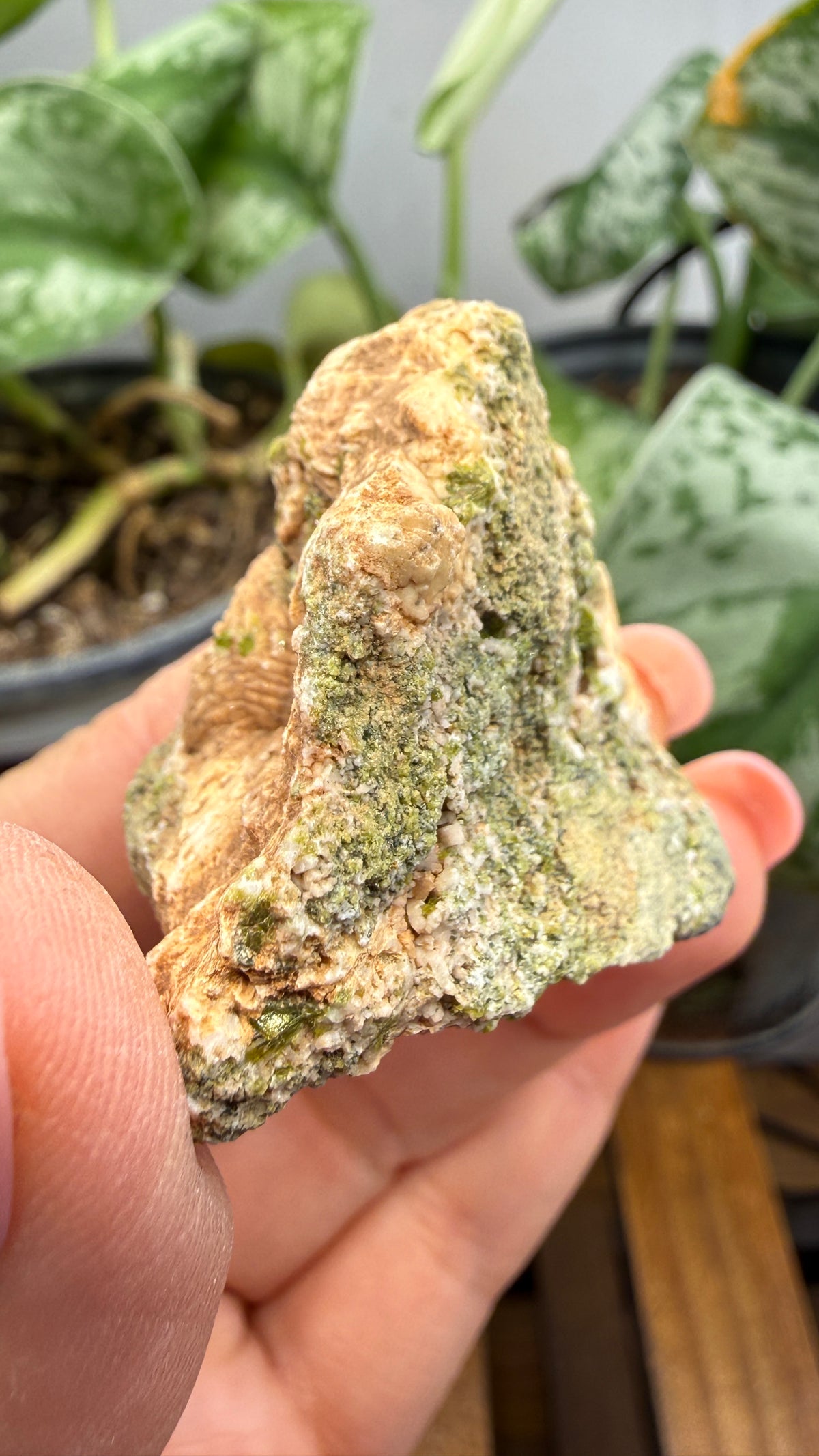 Prehnite with Epidote- Imilchil, Midelt Province, Drâa-Tafilalet Region, Morocco