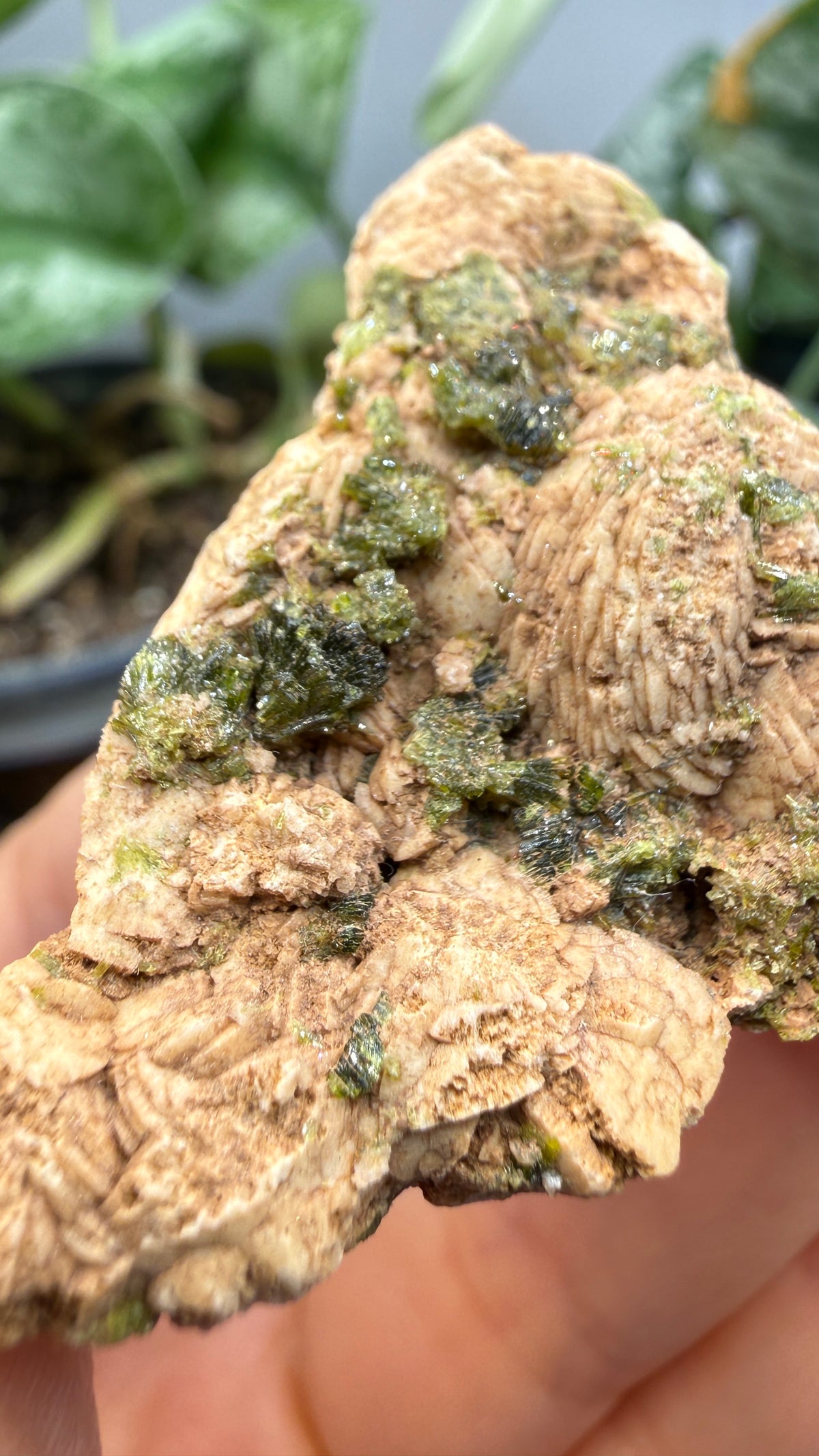 Prehnite with Epidote- Imilchil, Midelt Province, Drâa-Tafilalet Region, Morocco