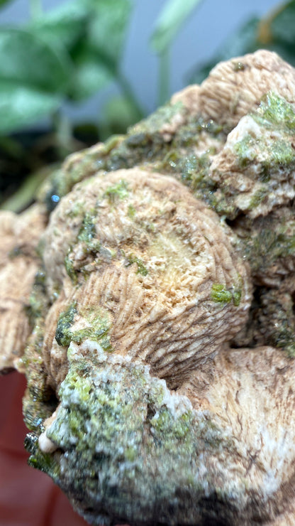 Prehnite with Epidote- Imilchil, Midelt Province, Drâa-Tafilalet Region, Morocco