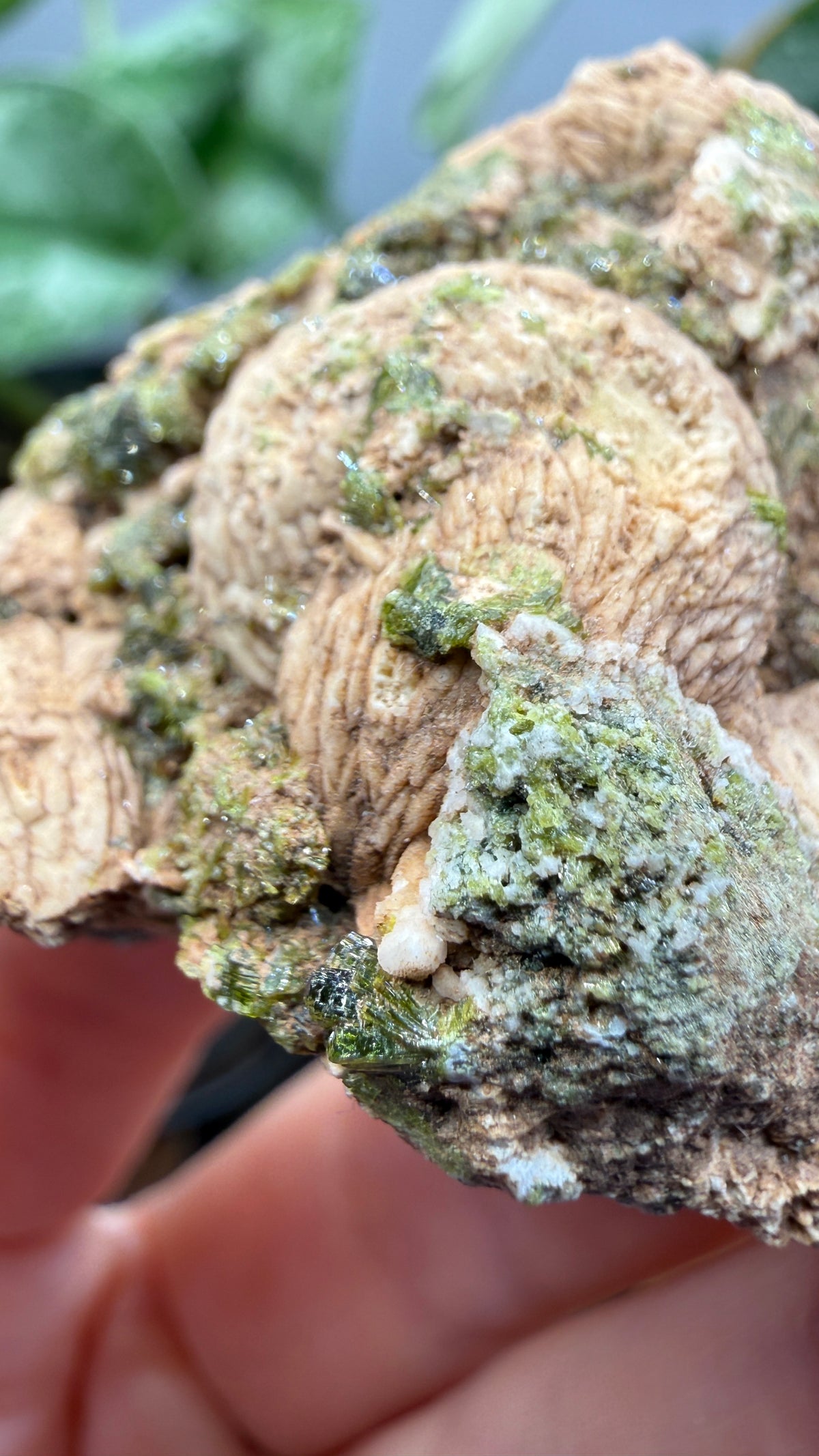 Prehnite with Epidote- Imilchil, Midelt Province, Drâa-Tafilalet Region, Morocco