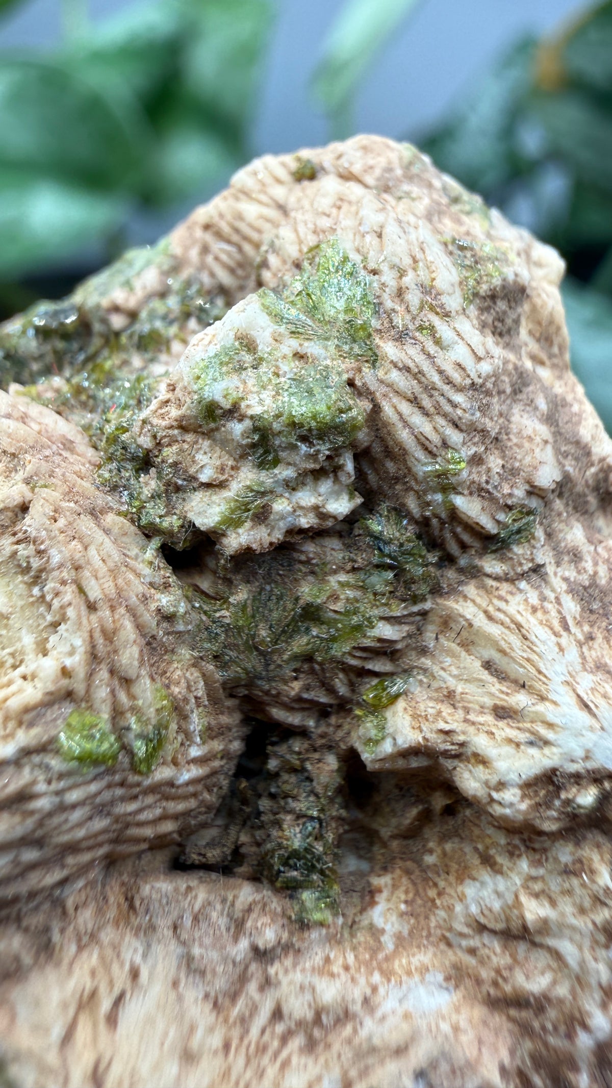 Prehnite with Epidote- Imilchil, Midelt Province, Drâa-Tafilalet Region, Morocco