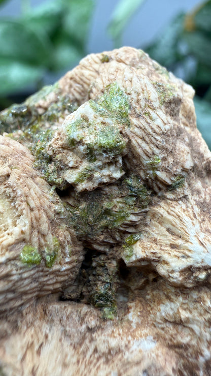 Prehnite with Epidote- Imilchil, Midelt Province, Drâa-Tafilalet Region, Morocco