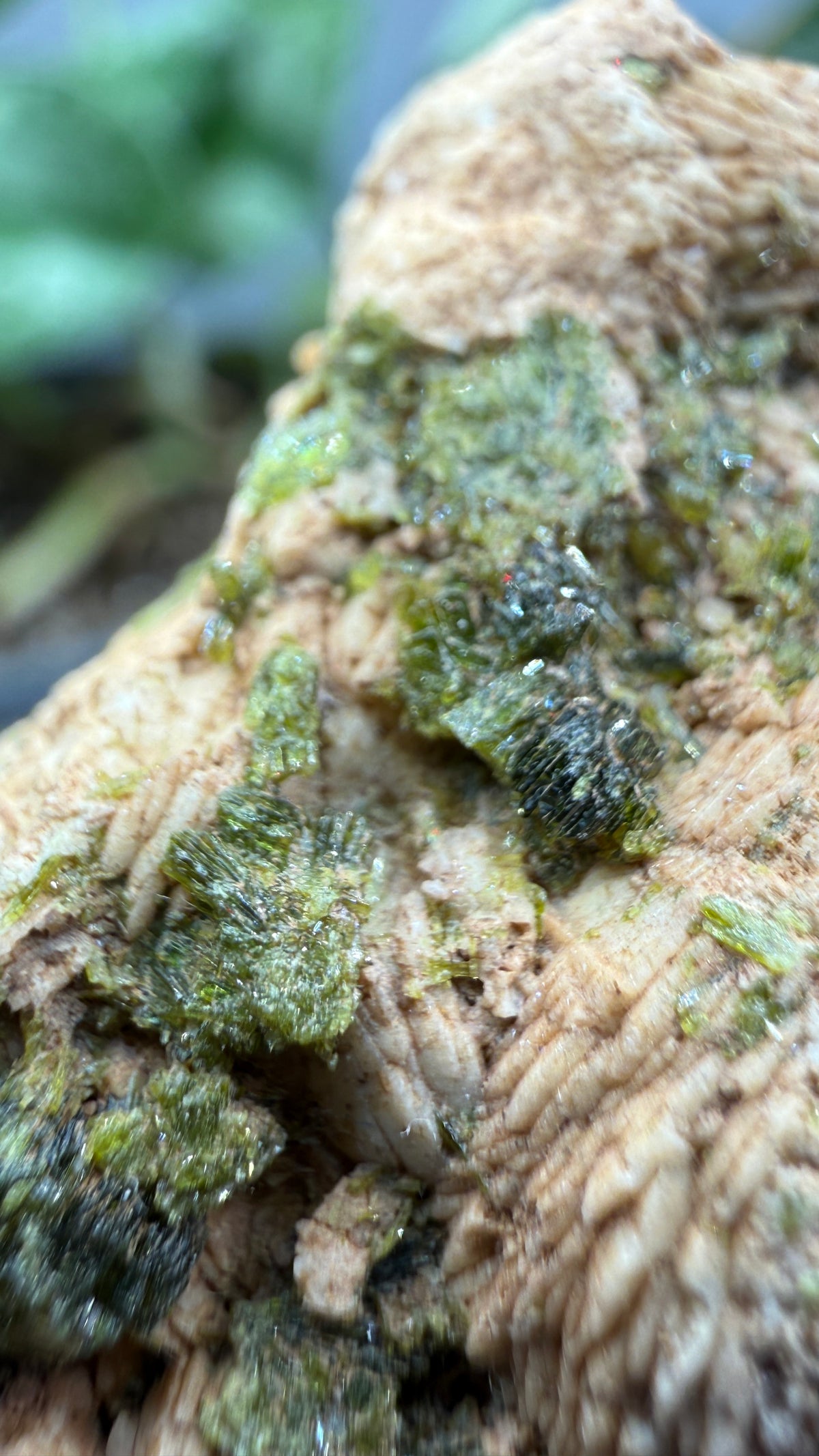 Prehnite with Epidote- Imilchil, Midelt Province, Drâa-Tafilalet Region, Morocco