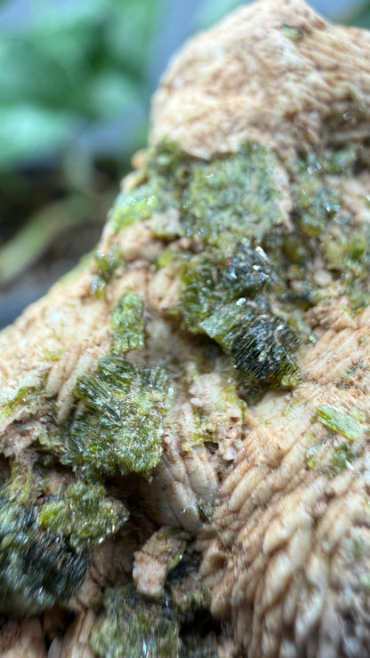 Prehnite with Epidote- Imilchil, Midelt Province, Drâa-Tafilalet Region, Morocco