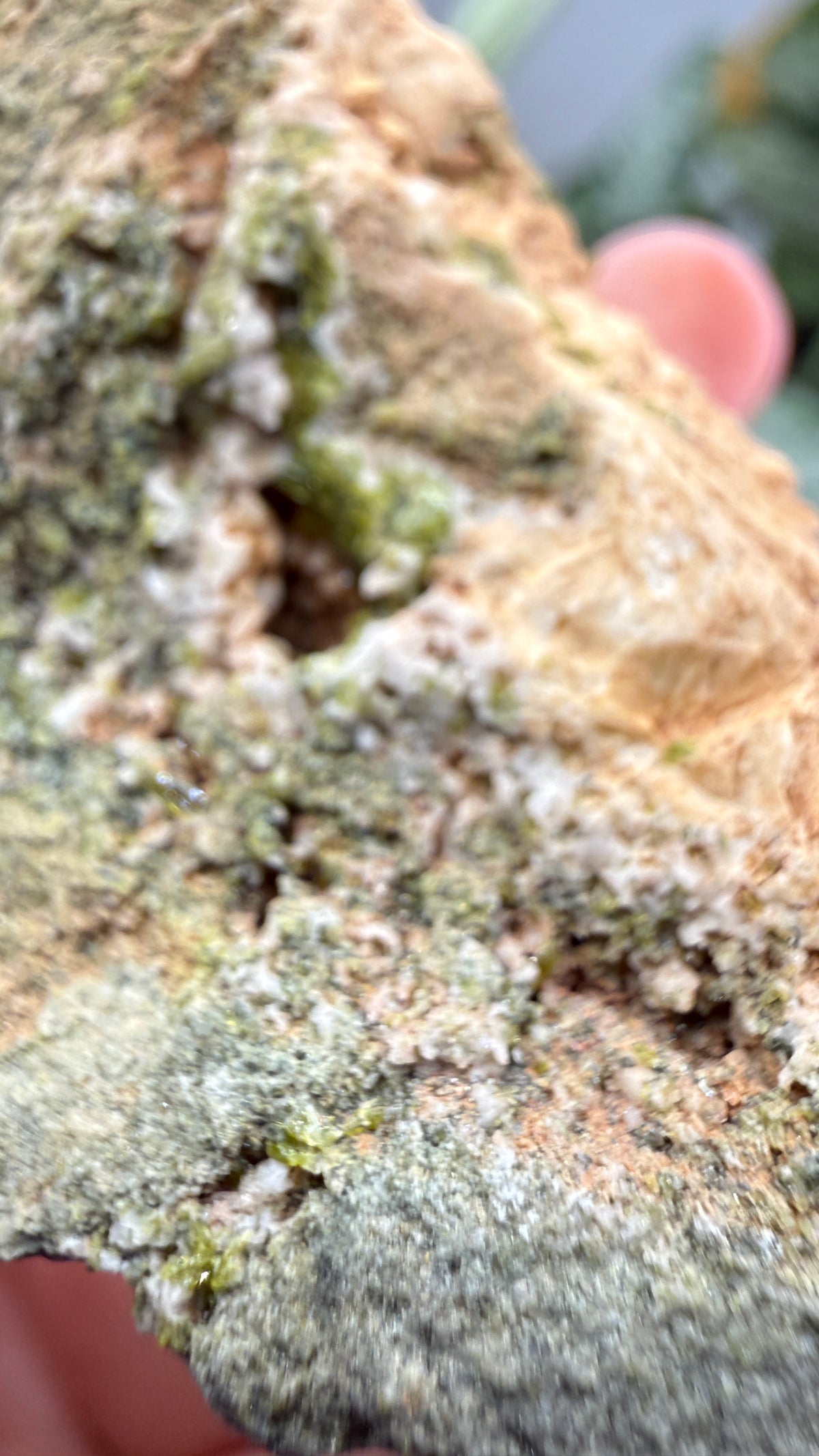 Prehnite with Epidote- Imilchil, Midelt Province, Drâa-Tafilalet Region, Morocco