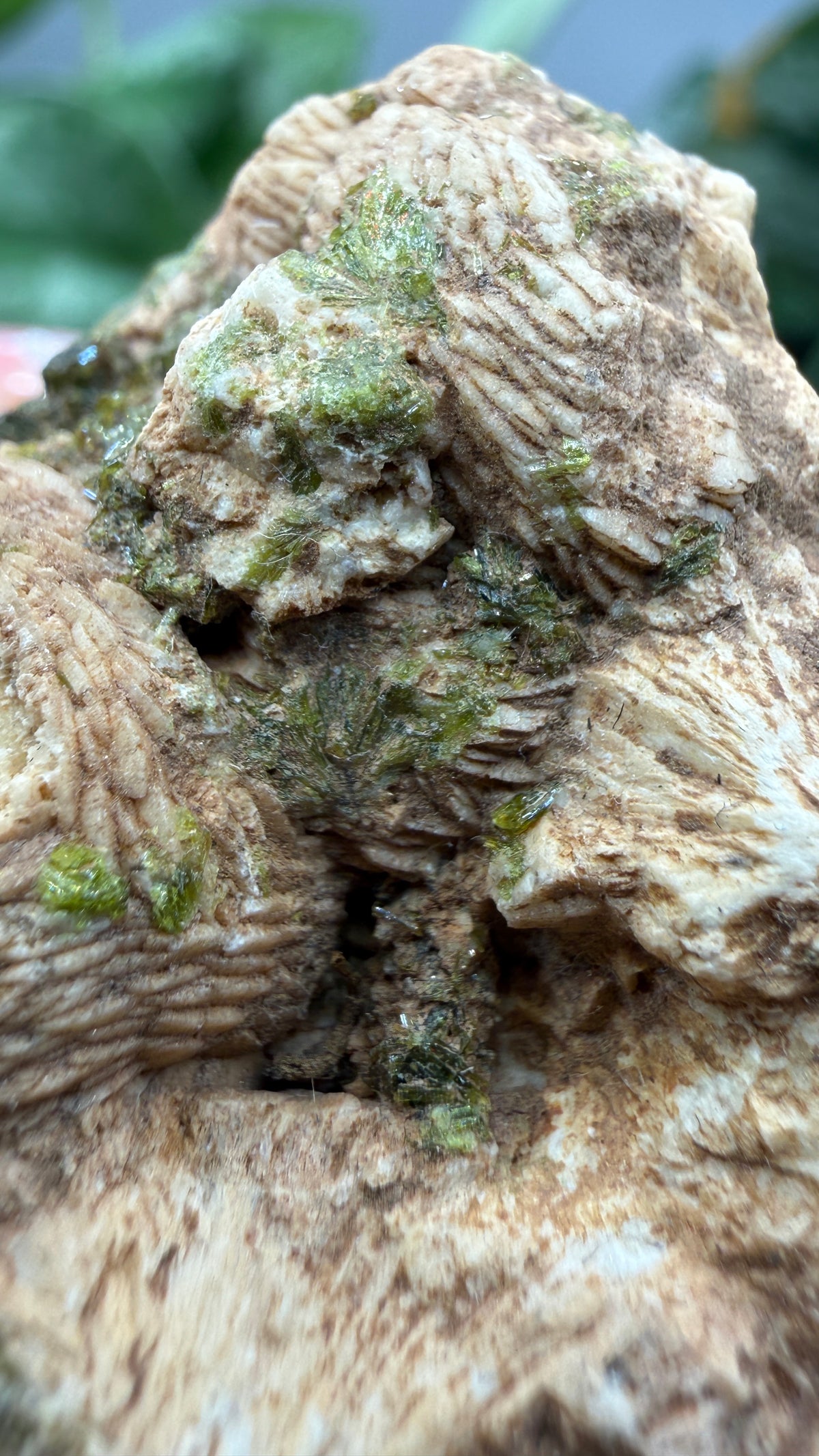 Prehnite with Epidote- Imilchil, Midelt Province, Drâa-Tafilalet Region, Morocco