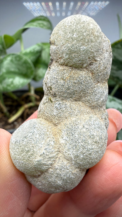 Botryoidal Prehnite with Epidote- Bosso Mine, Bendoukou, Kayes Region, Mali