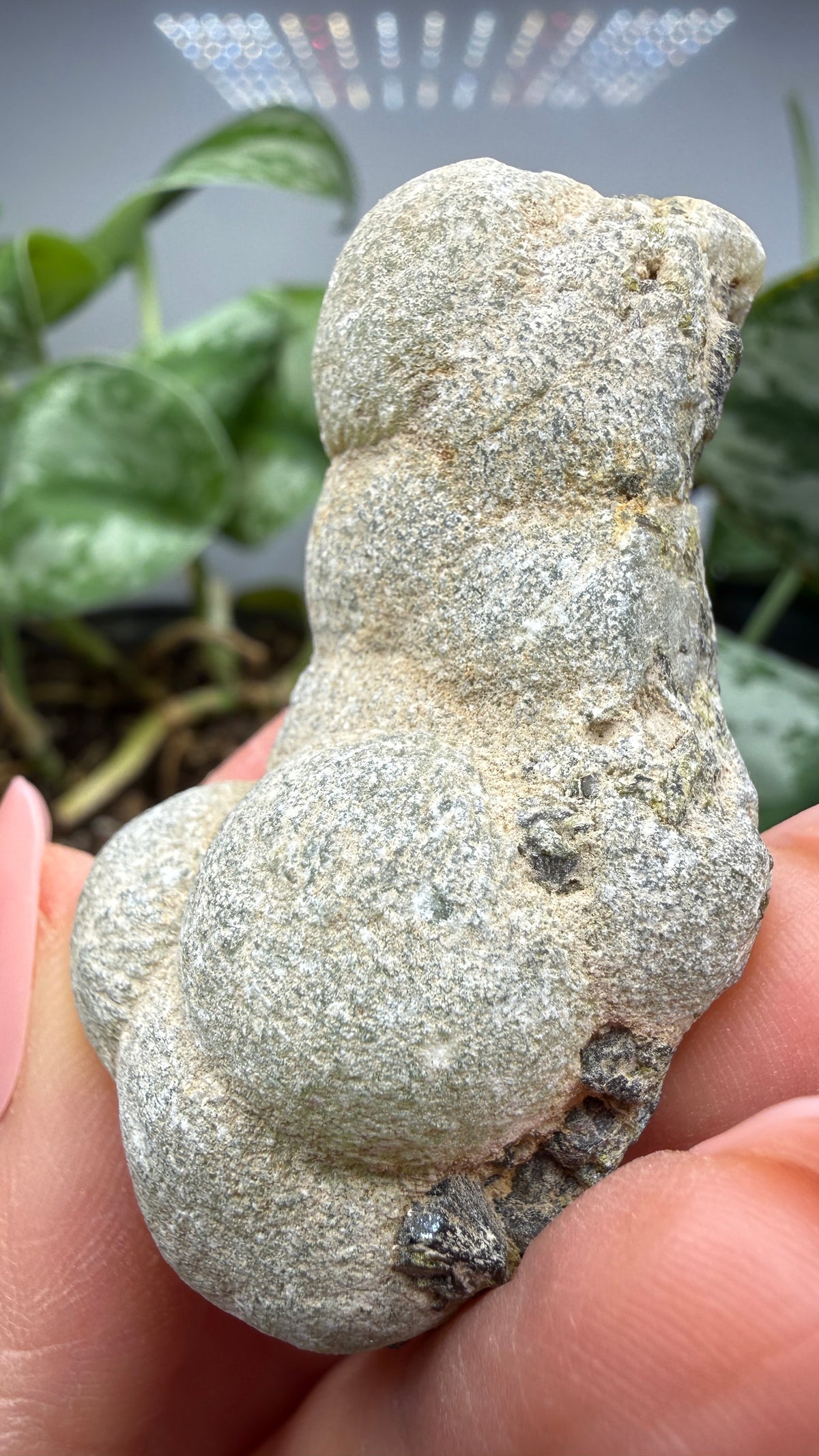 Botryoidal Prehnite with Epidote- Bosso Mine, Bendoukou, Kayes Region, Mali