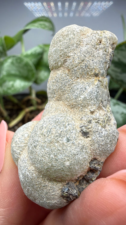 Botryoidal Prehnite with Epidote- Bosso Mine, Bendoukou, Kayes Region, Mali
