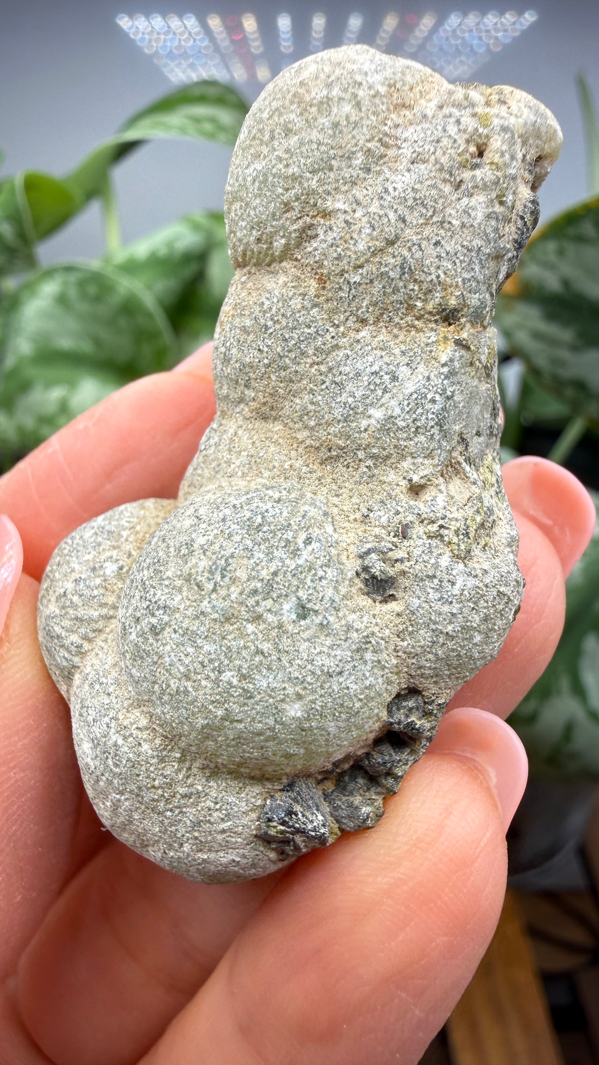 Botryoidal Prehnite with Epidote- Bosso Mine, Bendoukou, Kayes Region, Mali