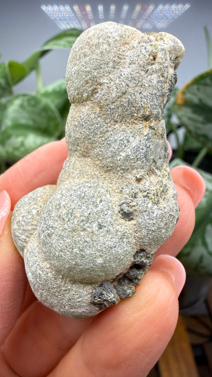 Botryoidal Prehnite with Epidote- Bosso Mine, Bendoukou, Kayes Region, Mali