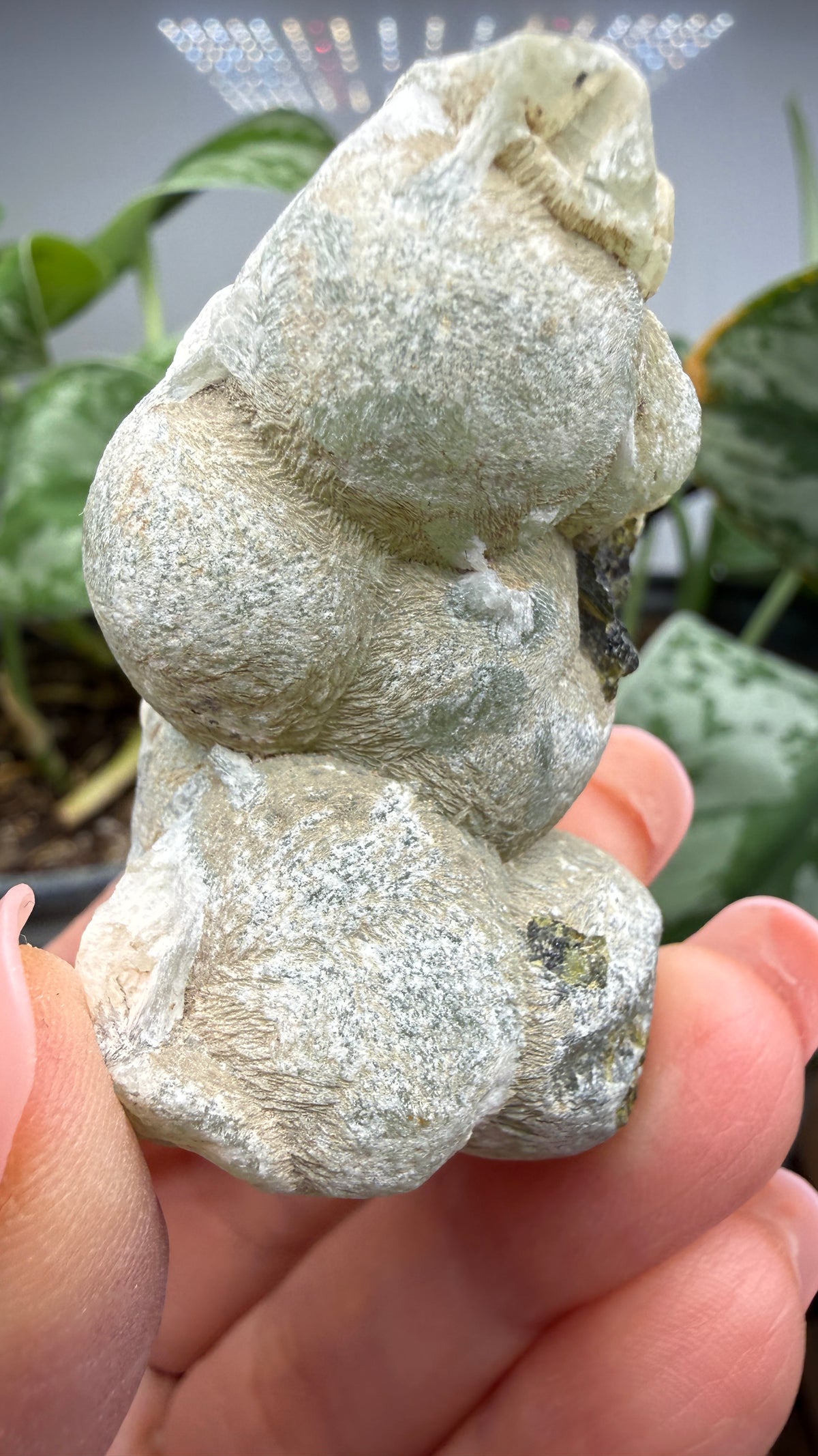 Botryoidal Prehnite with Epidote- Bosso Mine, Bendoukou, Kayes Region, Mali