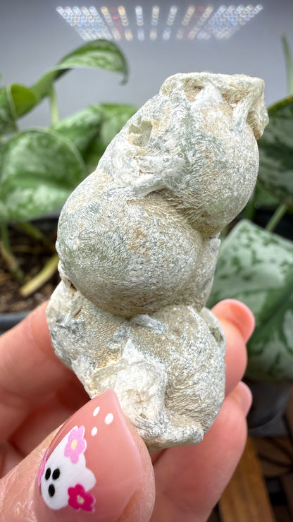 Botryoidal Prehnite with Epidote- Bosso Mine, Bendoukou, Kayes Region, Mali