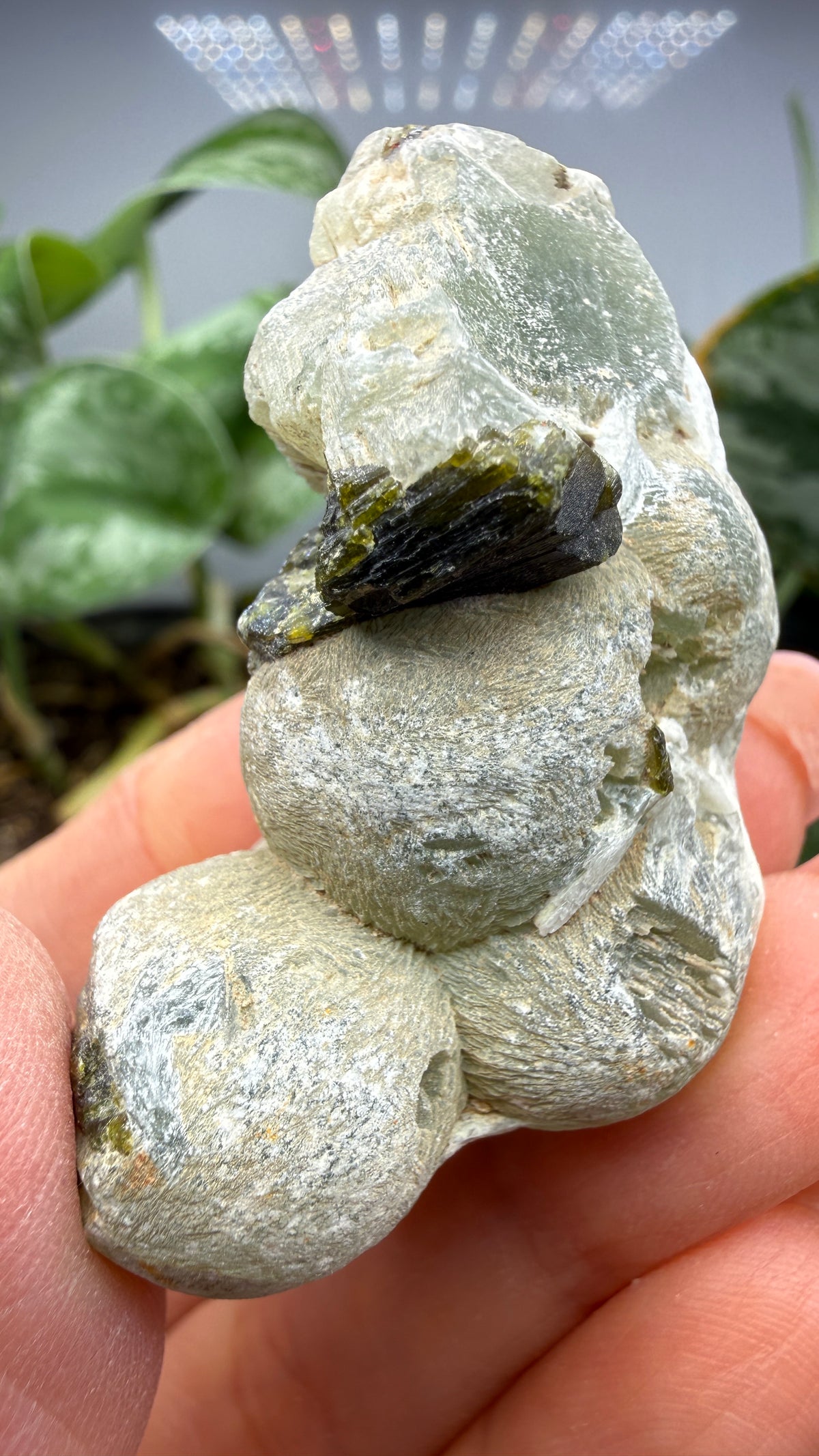 Botryoidal Prehnite with Epidote- Bosso Mine, Bendoukou, Kayes Region, Mali