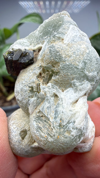 Botryoidal Prehnite with Epidote- Bosso Mine, Bendoukou, Kayes Region, Mali