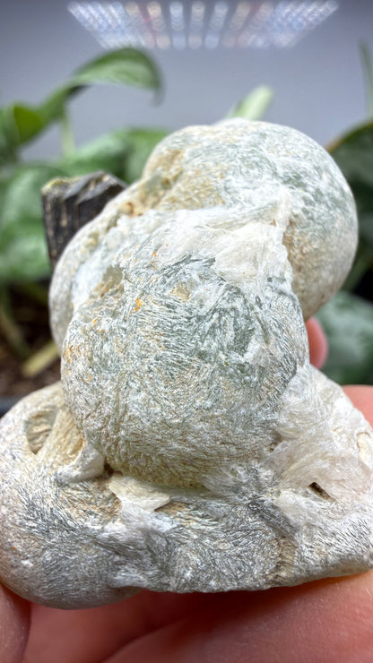 Botryoidal Prehnite with Epidote- Bosso Mine, Bendoukou, Kayes Region, Mali