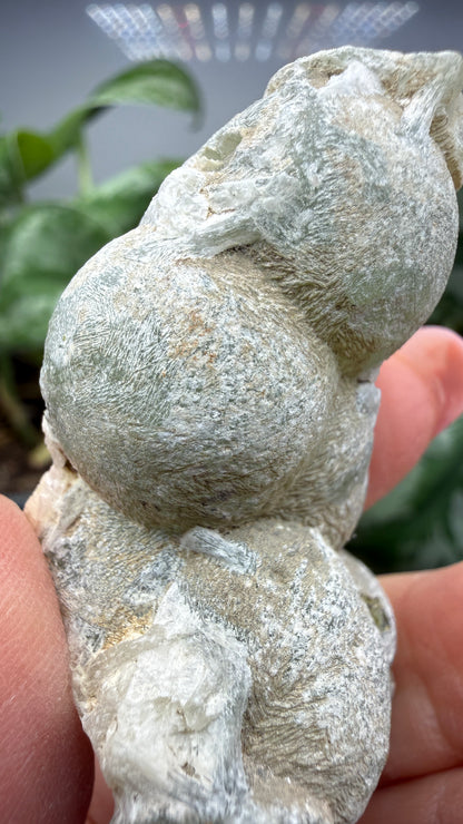 Botryoidal Prehnite with Epidote- Bosso Mine, Bendoukou, Kayes Region, Mali
