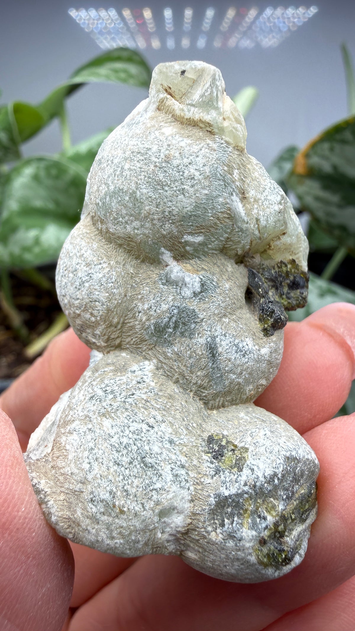 Botryoidal Prehnite with Epidote- Bosso Mine, Bendoukou, Kayes Region, Mali