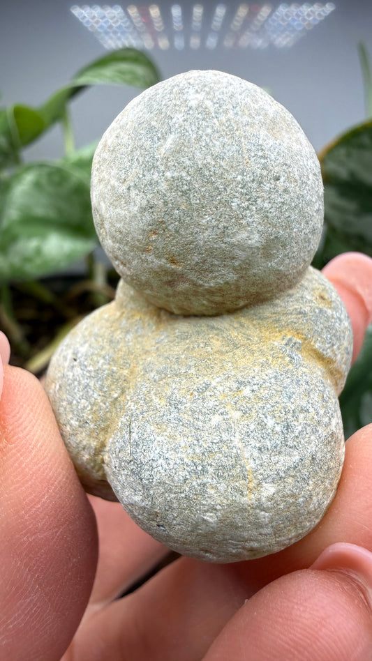 Botryoidal Prehnite with Epidote- Bosso Mine, Bendoukou, Kayes Region, Mali
