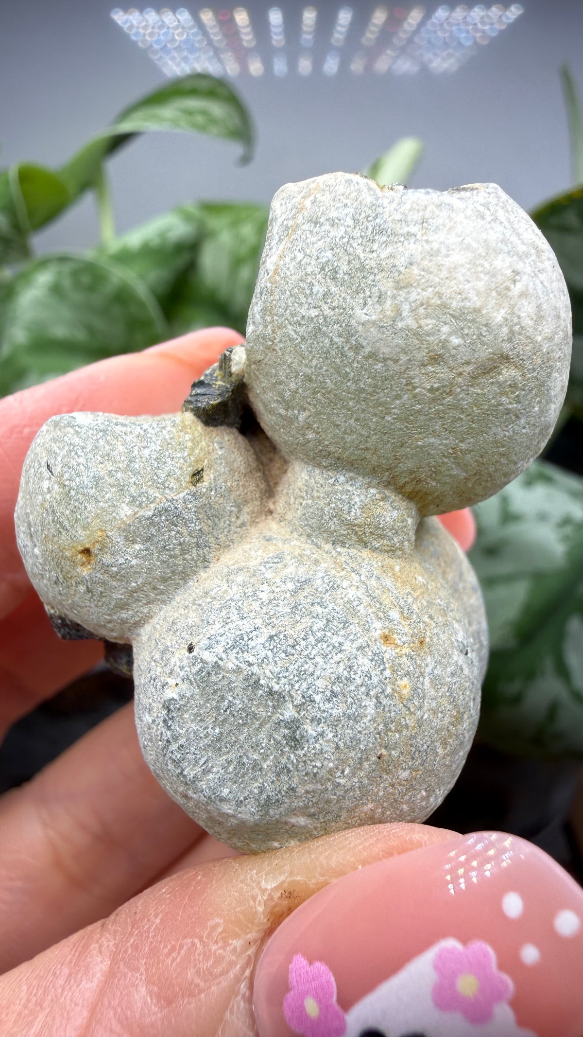 Botryoidal Prehnite with Epidote- Bosso Mine, Bendoukou, Kayes Region, Mali