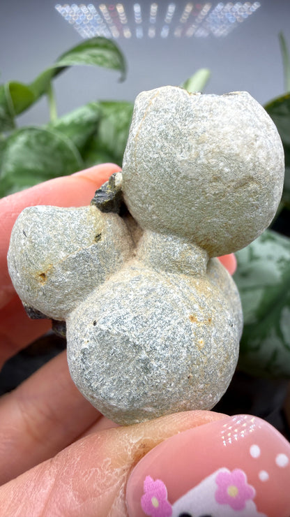 Botryoidal Prehnite with Epidote- Bosso Mine, Bendoukou, Kayes Region, Mali