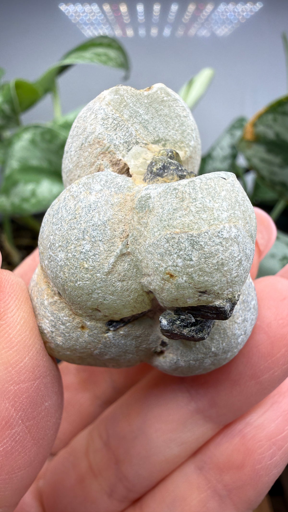 Botryoidal Prehnite with Epidote- Bosso Mine, Bendoukou, Kayes Region, Mali