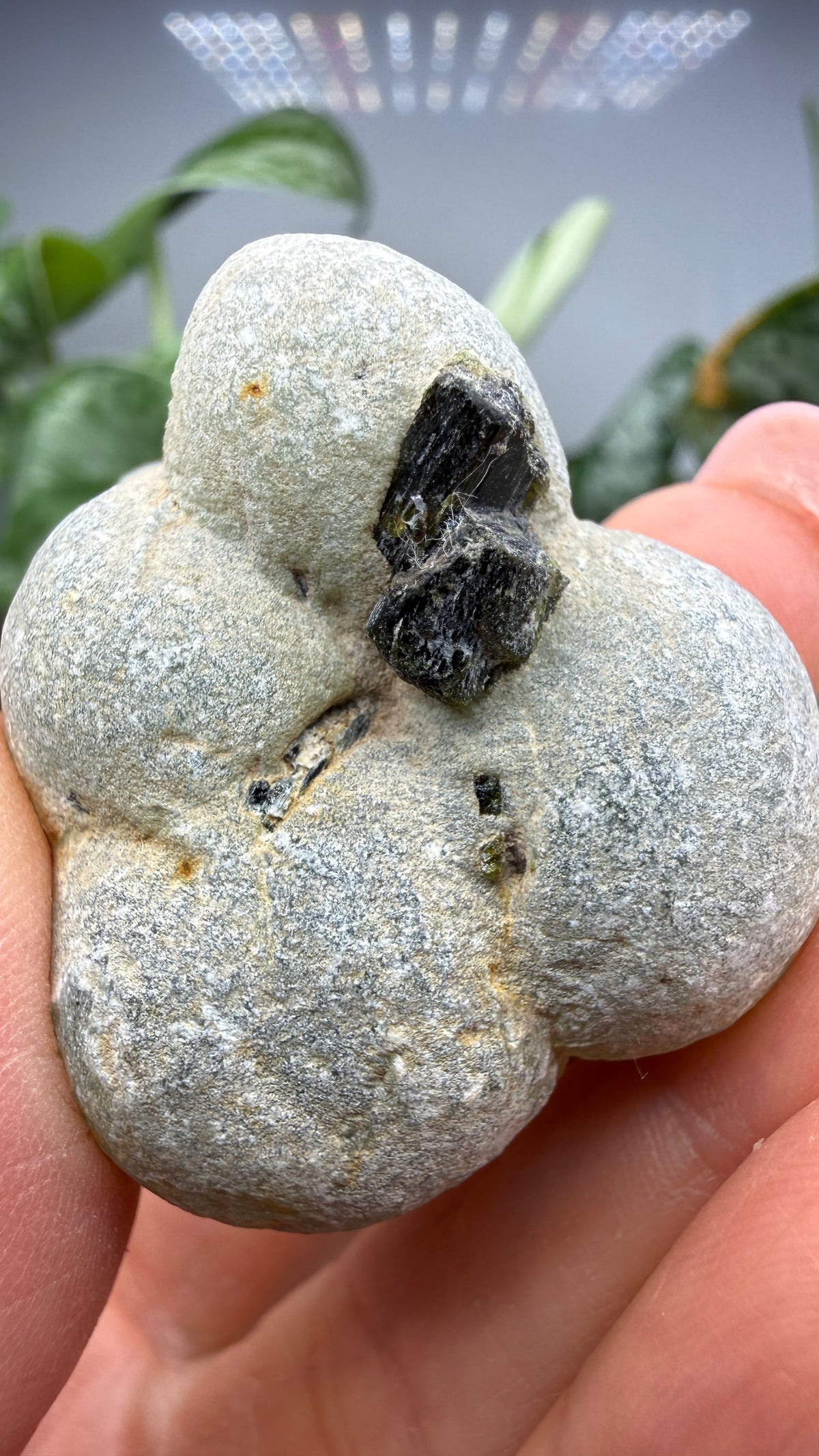 Botryoidal Prehnite with Epidote- Bosso Mine, Bendoukou, Kayes Region, Mali