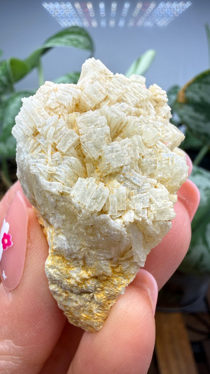 Prehnite- Imilchil, Midelt Province, Drâa-Tafilalet Region, Morocco
