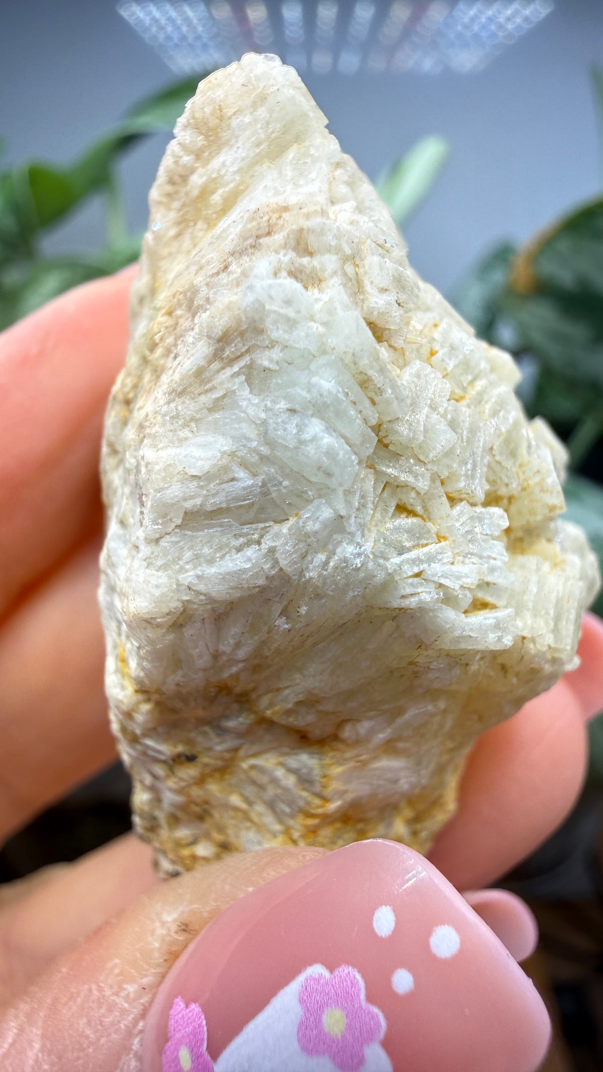 Prehnite- Imilchil, Midelt Province, Drâa-Tafilalet Region, Morocco