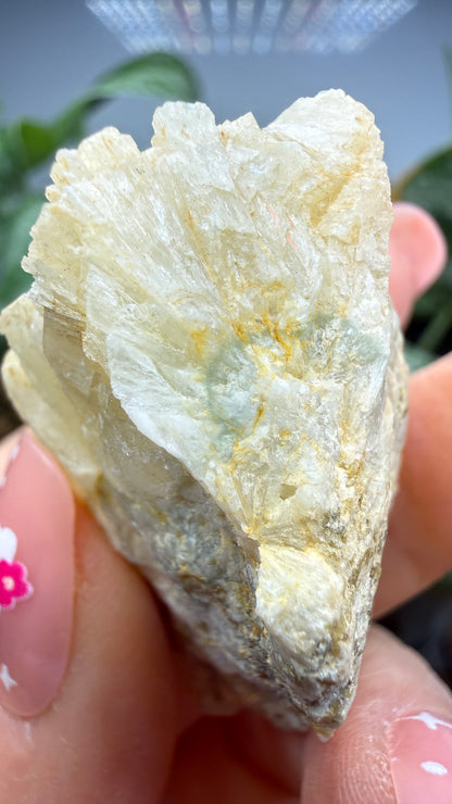 Prehnite- Imilchil, Midelt Province, Drâa-Tafilalet Region, Morocco