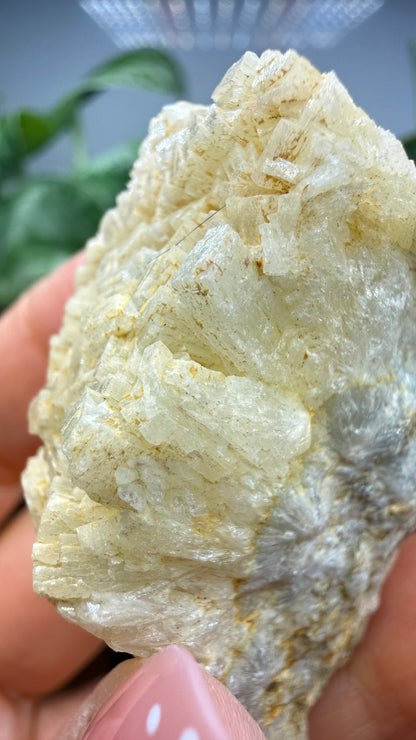 Prehnite- Imilchil, Midelt Province, Drâa-Tafilalet Region, Morocco