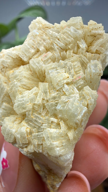 Prehnite- Imilchil, Midelt Province, Drâa-Tafilalet Region, Morocco