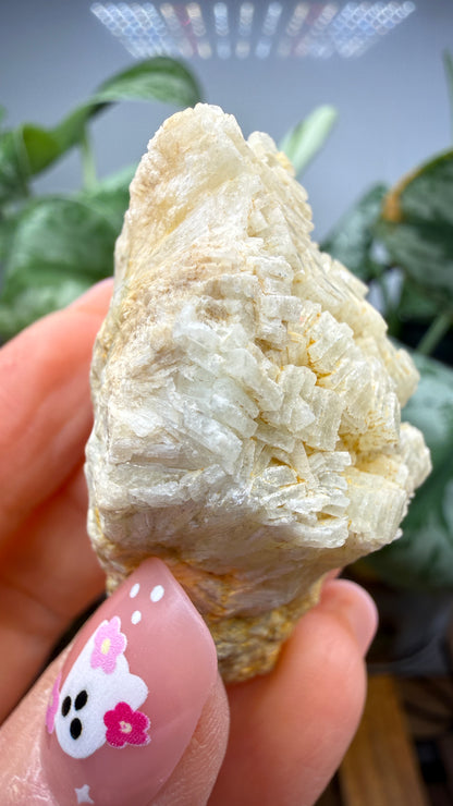 Prehnite- Imilchil, Midelt Province, Drâa-Tafilalet Region, Morocco