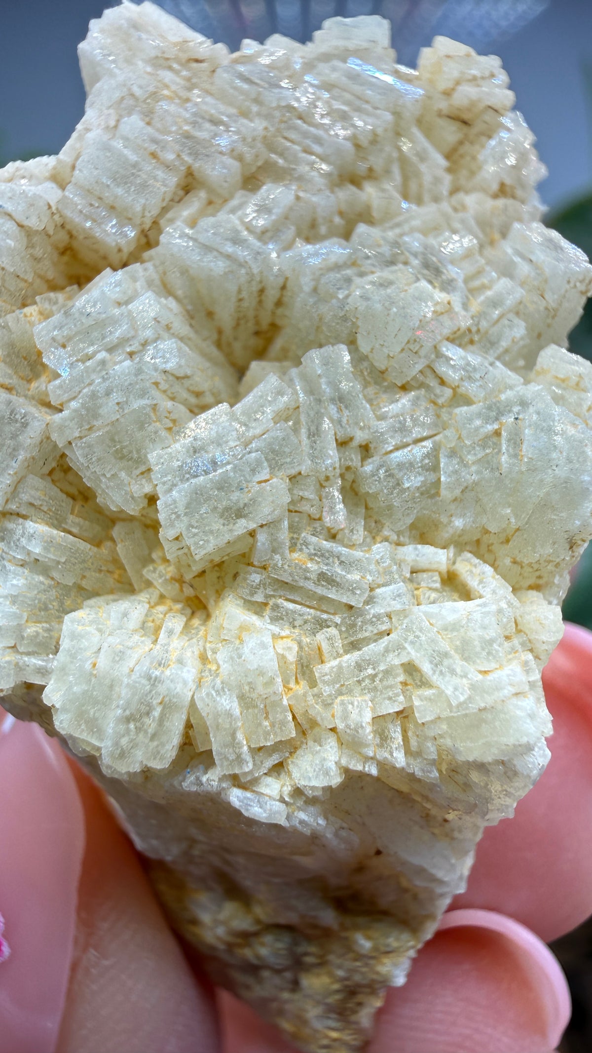 Prehnite- Imilchil, Midelt Province, Drâa-Tafilalet Region, Morocco