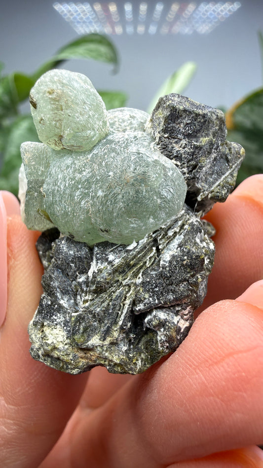 Botryoidal Prehnite with Epidote- Bosso Mine, Bendoukou, Kayes Region, Mali