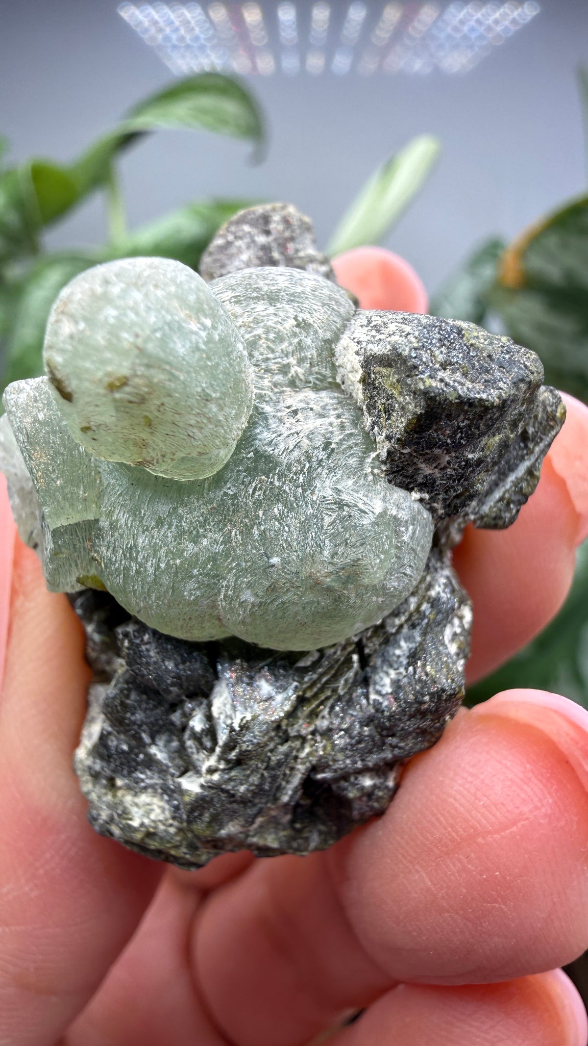 Botryoidal Prehnite with Epidote- Bosso Mine, Bendoukou, Kayes Region, Mali