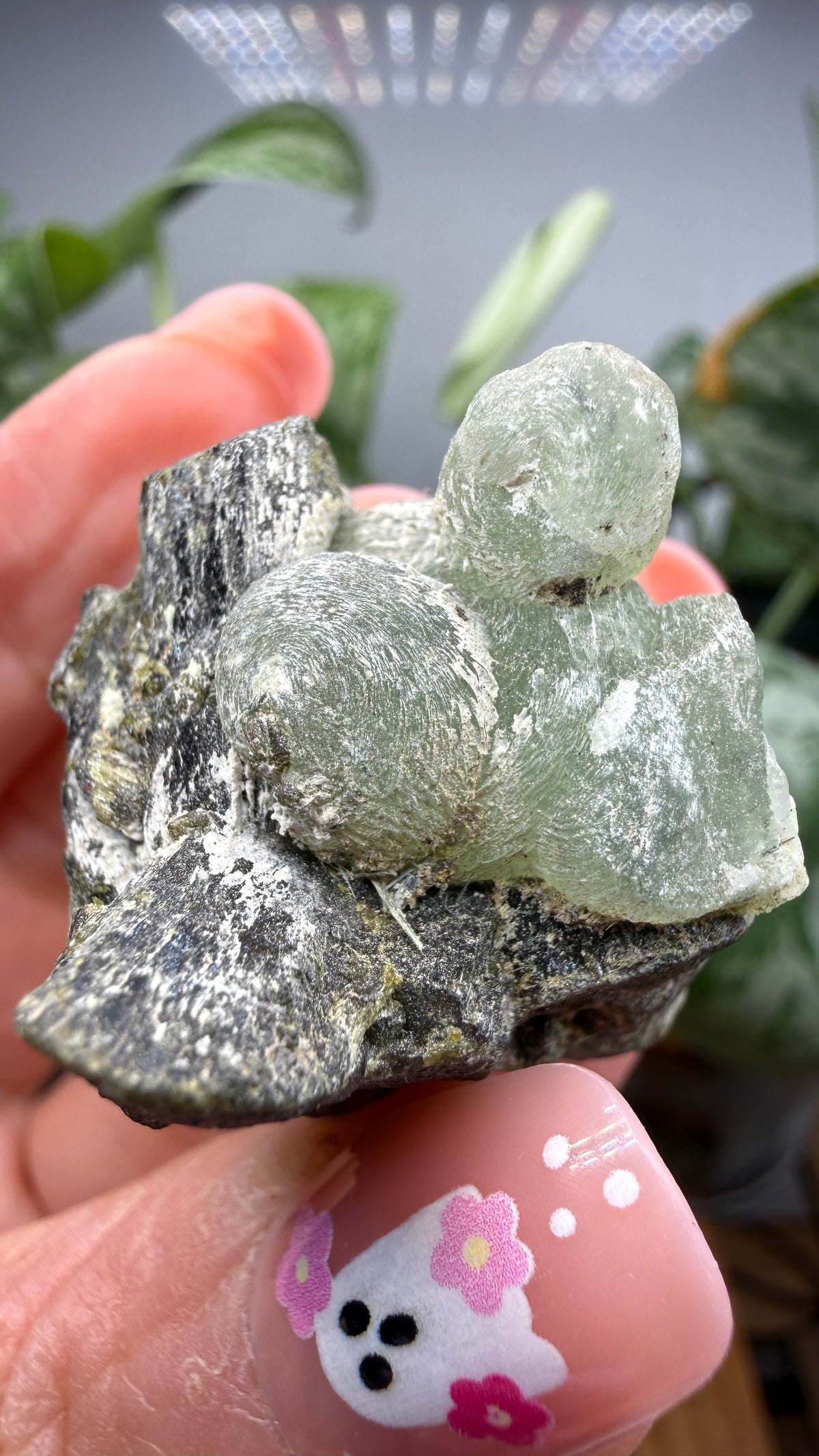 Botryoidal Prehnite with Epidote- Bosso Mine, Bendoukou, Kayes Region, Mali