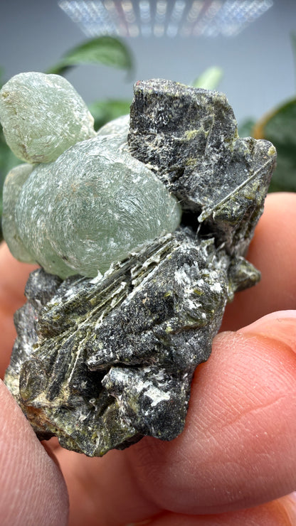 Botryoidal Prehnite with Epidote- Bosso Mine, Bendoukou, Kayes Region, Mali