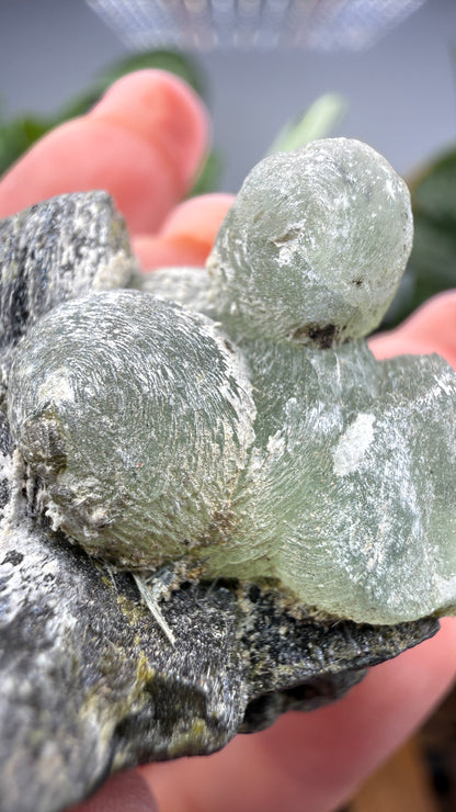 Botryoidal Prehnite with Epidote- Bosso Mine, Bendoukou, Kayes Region, Mali