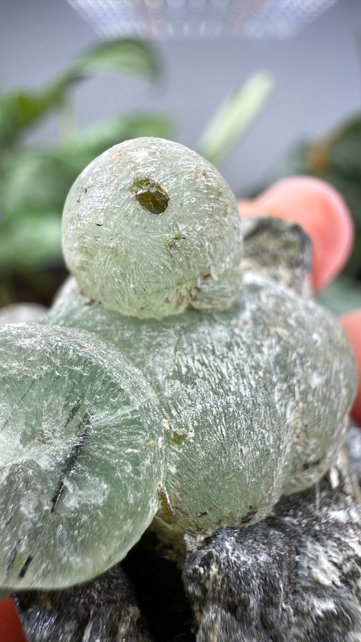 Botryoidal Prehnite with Epidote- Bosso Mine, Bendoukou, Kayes Region, Mali