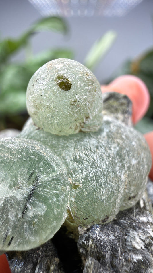 Botryoidal Prehnite with Epidote- Bosso Mine, Bendoukou, Kayes Region, Mali