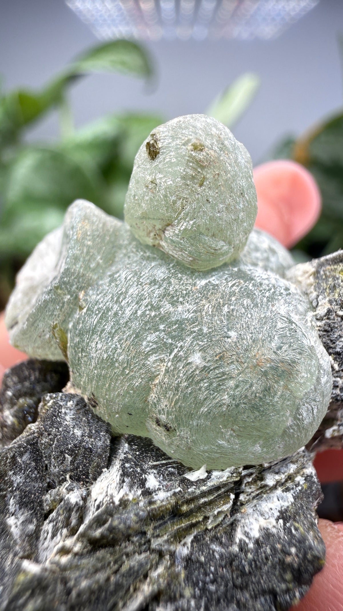 Botryoidal Prehnite with Epidote- Bosso Mine, Bendoukou, Kayes Region, Mali