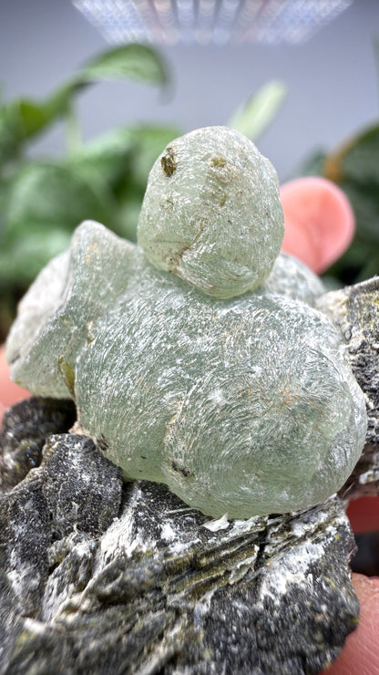 Botryoidal Prehnite with Epidote- Bosso Mine, Bendoukou, Kayes Region, Mali
